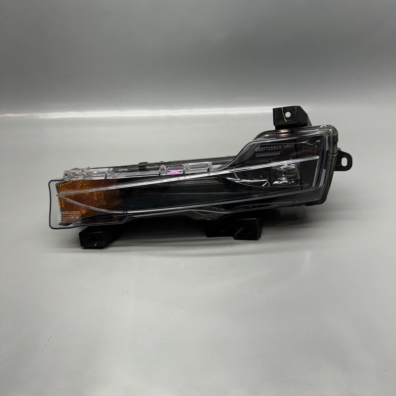 1077391-00-F TESLA MODEL 3 FOG LIGHT LEFT DRIVER 2017 18 19 20 21 22 2023 OEM 1077391-00-F