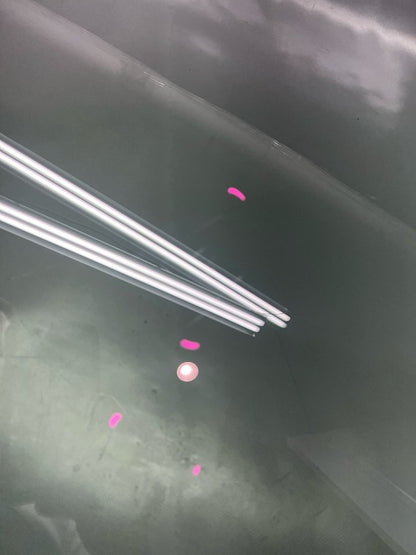 43R-015011 TESLA MODEL Y DOOR DOUBLE GLASS LEFT FRONT 2020 2021 2022 2023 2024 OEM