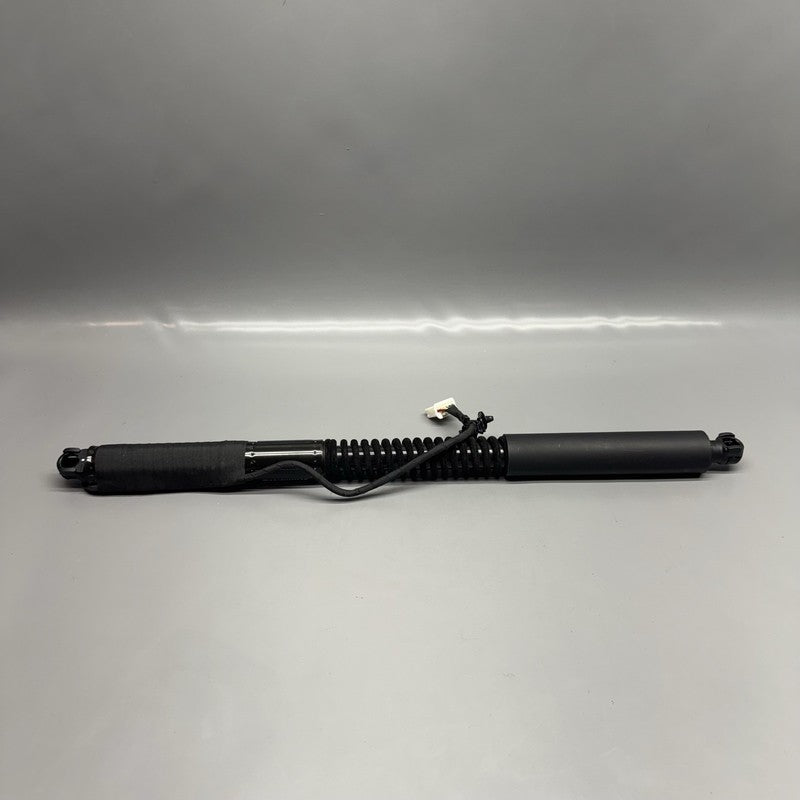 1063440-01-D TESLA MODEL X DOOR STRUT SHOCK REAR 2016 2017 2018 2019 2020 OEM 1063440-01-D