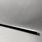 TESLA MODEL X DOOR MOLDING TRIM RIGHT FRONT 2016 2017 2018 2019 2020 O