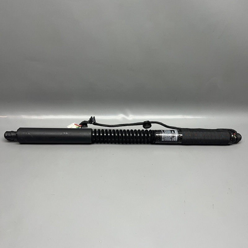 1063440-00-C TESLA MODEL X DOOR SHOCK STRUT REAR 2016 2017 2018 2019 2020 OEM 1063440-00-C