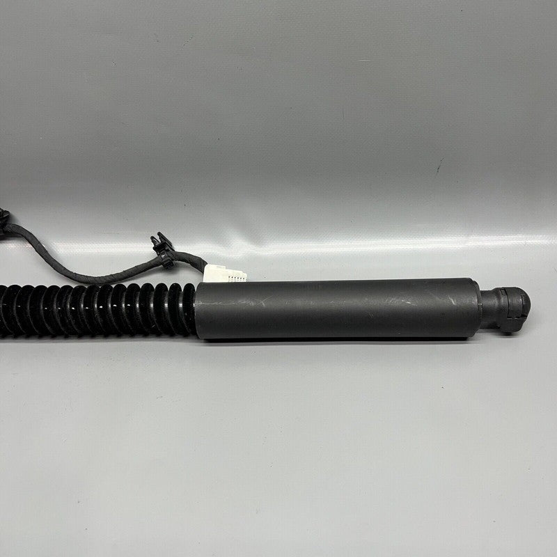 1063440-01-D TESLA MODEL X DOOR SHOCK STRUT REAR 2016 2017 2018 2019 2020 OEM 1063440-01-D