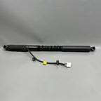 1063440-01-F TESLA MODEL X DOOR STRUT SHOCK REAR 2016 2017 2018 2019 20 2021 OEM 1063440-01-F