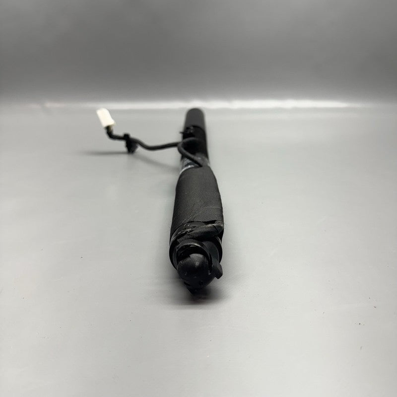 1063440-00-D TESLA MODEL X DOOR STRUT SHOCK REAR 2016 2017 2018 2019 2020 OEM 1063440-00-D