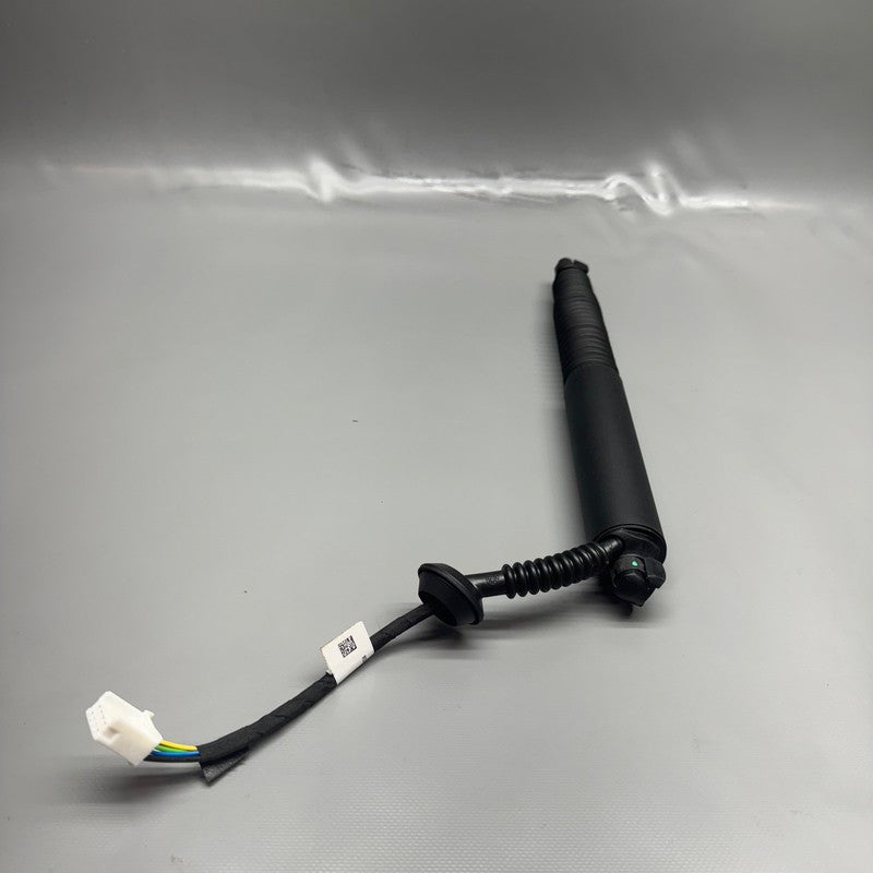 TESLA MODEL 3 TRUNK STRUT LEFT 2017 2018 2019 2020 2021 2022 2023 OEM