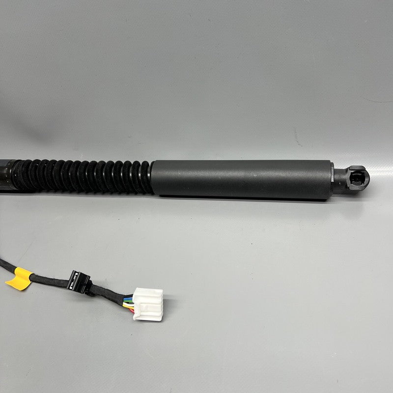 1063440-01-F TESLA MODEL X DOOR STRUT SHOCK REAR 2016 2017 2018 2019 20 2021 OEM 1063440-01-F