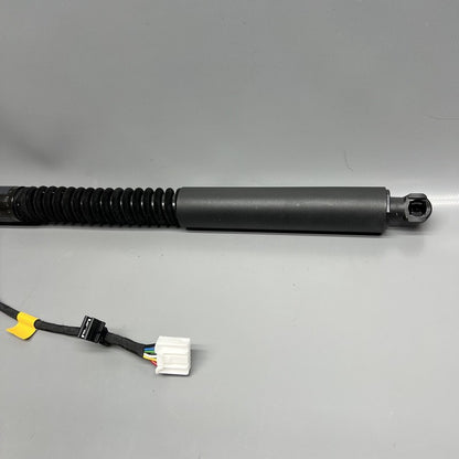 1063440-01-F TESLA MODEL X DOOR STRUT SHOCK REAR 2016 2017 2018 2019 20 2021 OEM 1063440-01-F
