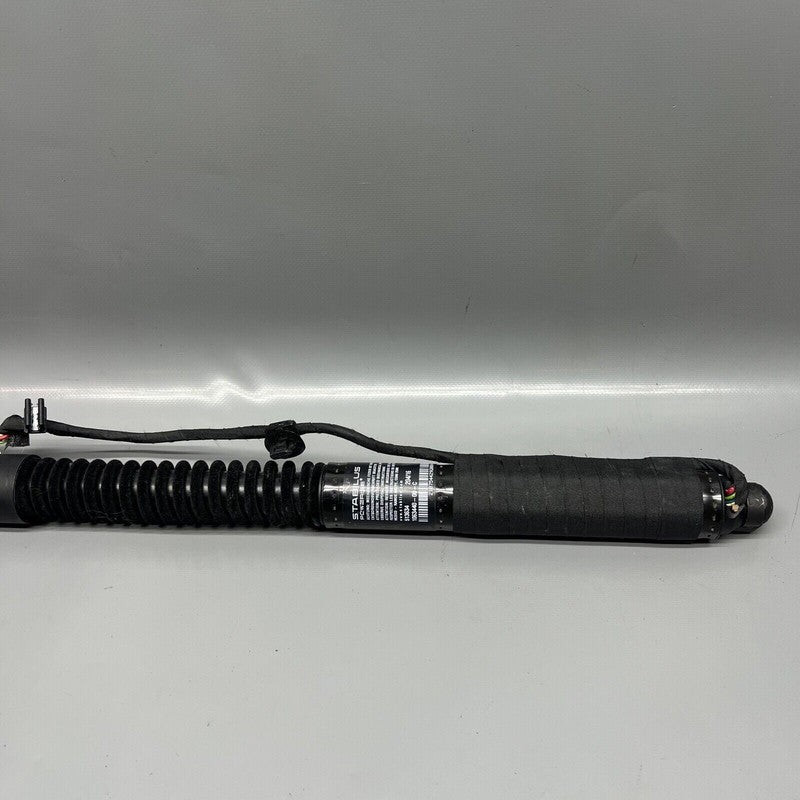 1063440-00-C TESLA MODEL X DOOR SHOCK STRUT REAR 2016 2017 2018 2019 2020 OEM 1063440-00-C