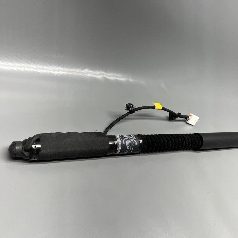 1063440-01-F TESLA MODEL X DOOR STRUT SHOCK REAR 2016 2017 2018 2019 20 2021 OEM 1063440-01-F