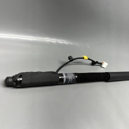 1063440-01-F TESLA MODEL X DOOR STRUT SHOCK REAR 2016 2017 2018 2019 20 2021 OEM 1063440-01-F