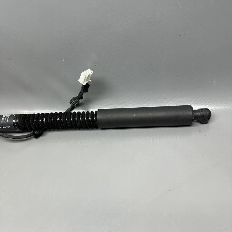 1063440-00-D TESLA MODEL X DOOR SHOCK STRUT REAR 2016 2017 2018 2019 2020 OEM 1063440-00-D