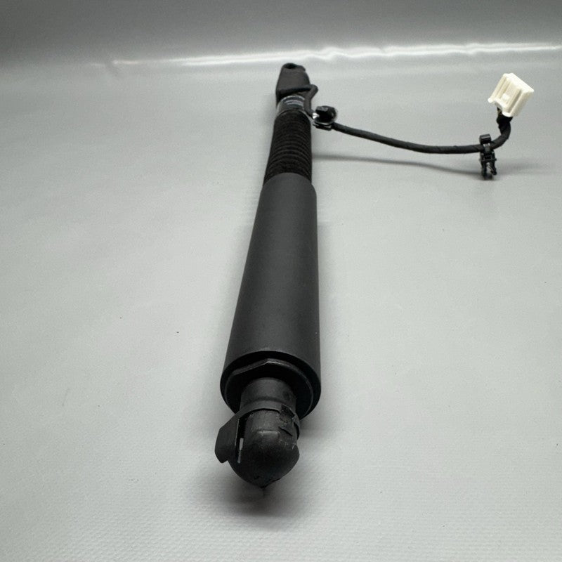 1063440-00-D TESLA MODEL X DOOR STRUT SHOCK REAR 2016 2017 2018 2019 2020 OEM 1063440-00-D