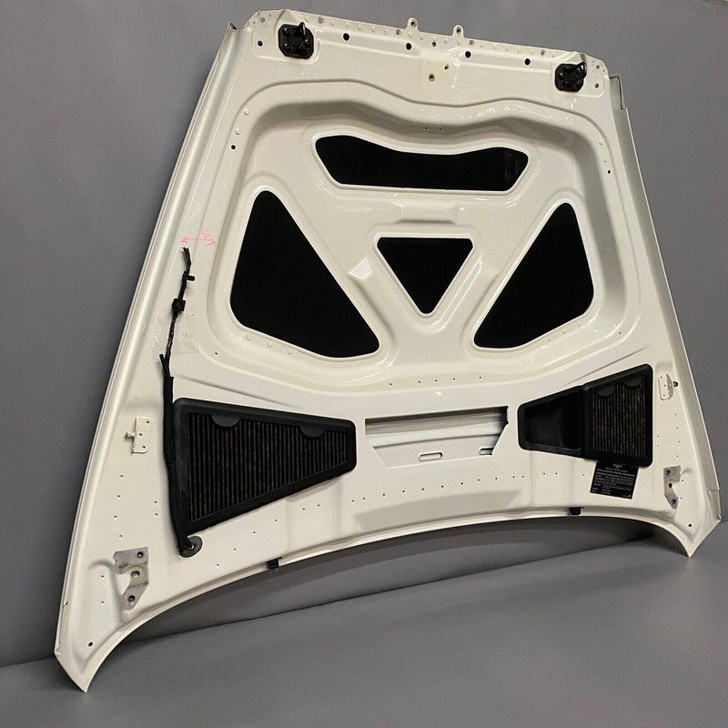BENTLEY GT GTC FLYING SPUR HOOD 2005 2006 2007 2008 2009 2010 2011 WHITE OEM 