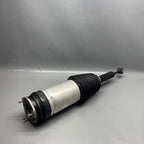 TESLA MODEL X AIR SHOCK STRUT REAR 2016 2017 2018 2019 2020 OEM 102746