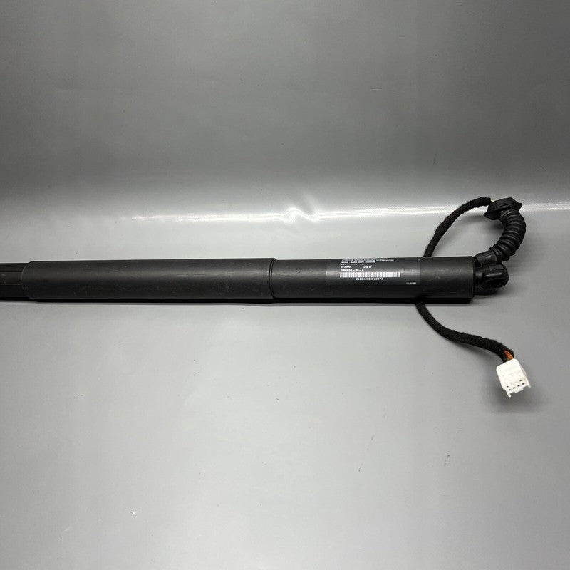 1065664-00-A TESLA MODEL X LIFT GATE SHOCK STRUT LEFT 2016 2017 2018 19 2020 OEM 1065664-00-A