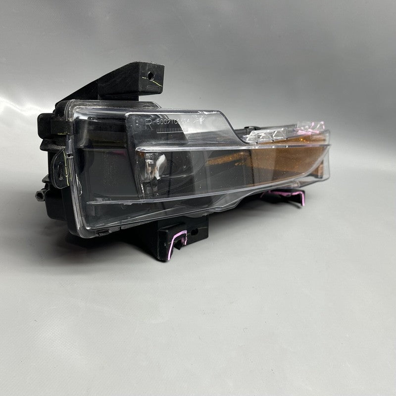 1077392-00-F TESLA MODEL 3 FOG LIGHT RIGHT PASSENGER 2017 18 19 20 21 2022 OEM 1077392-00-F