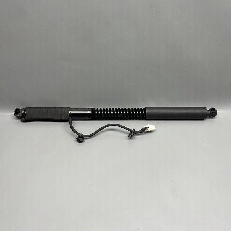 1063440-01-D TESLA MODEL X DOOR SHOCK STRUT REAR 2016 2017 2018 2019 2020 OEM 1063440-01-D
