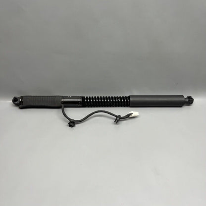 1063440-01-D TESLA MODEL X DOOR SHOCK STRUT REAR 2016 2017 2018 2019 2020 OEM 1063440-01-D