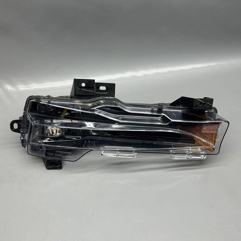 1077391-00-F TESLA MODEL 3 FOG LIGHT LEFT DRIVER 2017 18 19 20 21 22 2023 OEM 1077391-00-F