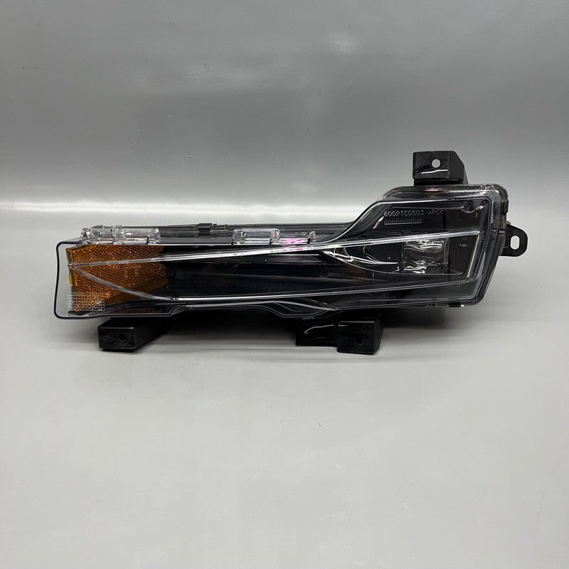 1077391-00-F TESLA MODEL 3 FOG LIGHT LEFT DRIVER 2017 18 19 20 21 22 2023 OEM 1077391-00-F