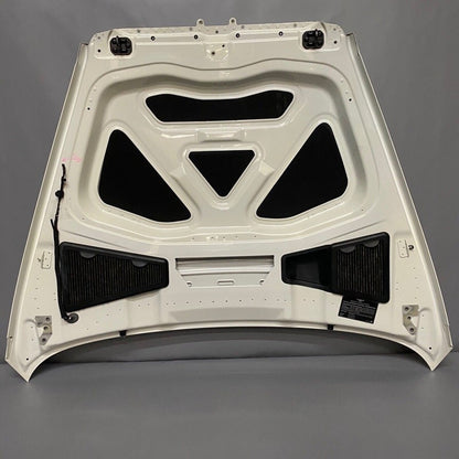 BENTLEY GT GTC FLYING SPUR HOOD 2005 2006 2007 2008 2009 2010 2011 WHITE OEM 