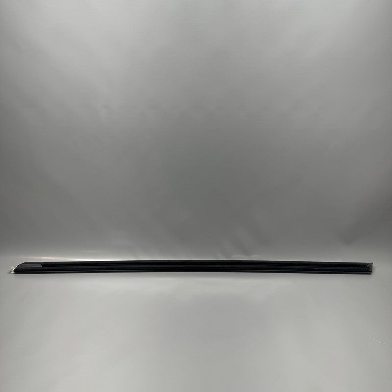 TESLA MODEL 3 DOOR WINDOW BELT MOLDING RIGHT FRONT 2017-2019 2020 2021