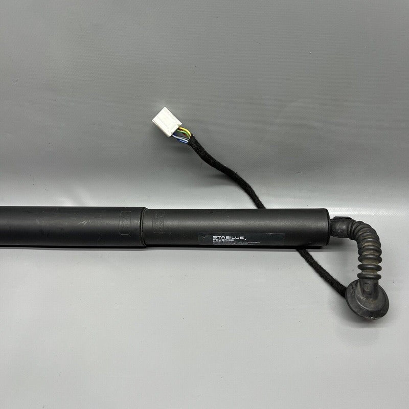 1065664-00-B TESLA MODEL X LIFT GATE SHOCK STRUT LEFT 2016 2017 2018 19 2020 OEM 1065664-00-B
