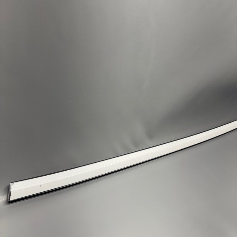 TESLA MODEL 3 DOOR WINDOW MOLDING RIGHT REAR 2017 2018 2019 2020 OEM