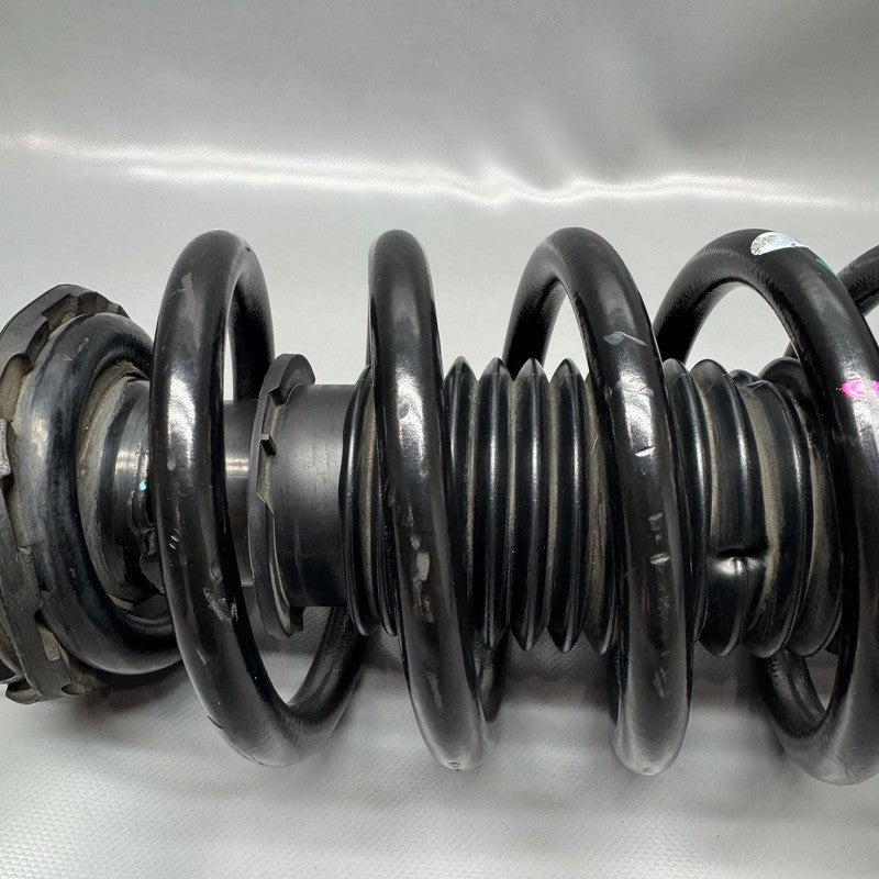 TESLA MODEL 3 SHOCK STRUT LEFT FRONT 2017 2018 2019 2020 2021 OEM RWD