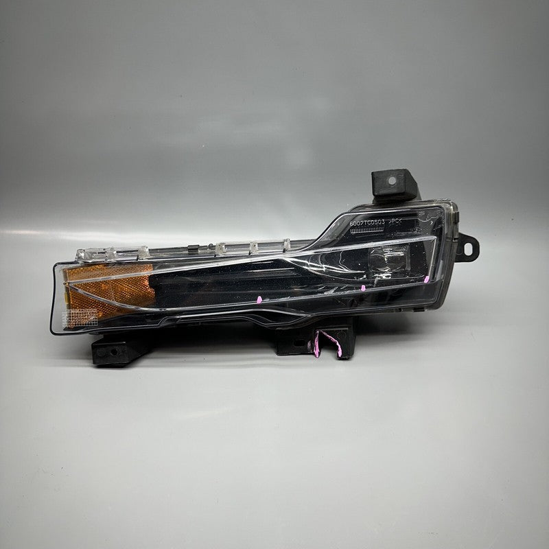 1077391-00-F TESLA MODEL 3 FOG LIGHT LEFT DRIVER 2017 18 19 20 21 22 2023 3 PIN 1077391-00-F