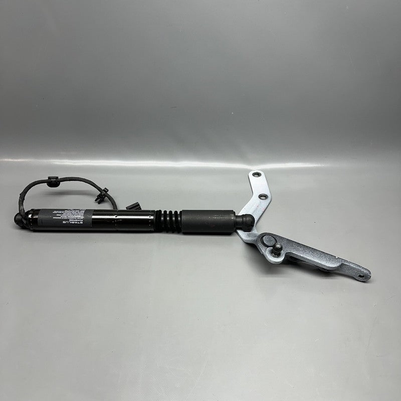 1063441-00-C TESLA MODEL X DOOR STRUT SECONDARY 2016 2017 2018 2019 2020 OEM 1063441-00-C