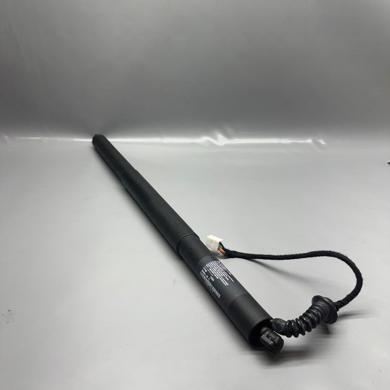 1065664-00-C TESLA MODEL X TAIL GATE STRUT LEFT 2016 2017 2018 2019 2020 2021 2022 2023 OEM 