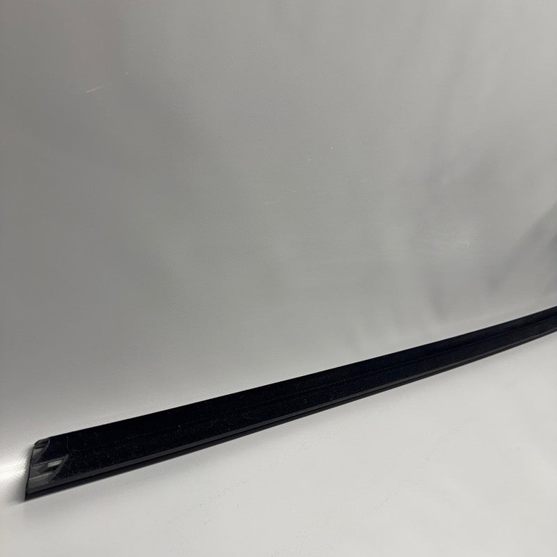 TESLA MODEL 3 DOOR WINDOW MOLDING RIGHT FRONT 2017-2019 2020 2021 2022