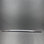 TESLA MODEL 3 DOOR WINDOW MOLDING LEFT REAR 2017 2018 2019 2020 OEM 10