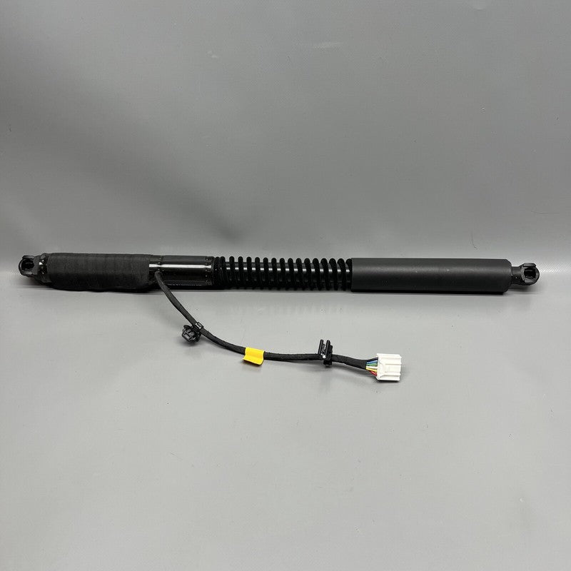 1063440-01-F TESLA MODEL X DOOR STRUT SHOCK REAR 2016 2017 2018 2019 20 2021 OEM 1063440-01-F