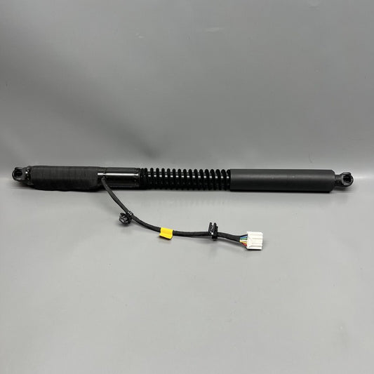 1063440-01-F TESLA MODEL X DOOR STRUT SHOCK REAR 2016 2017 2018 2019 20 2021 OEM 1063440-01-F