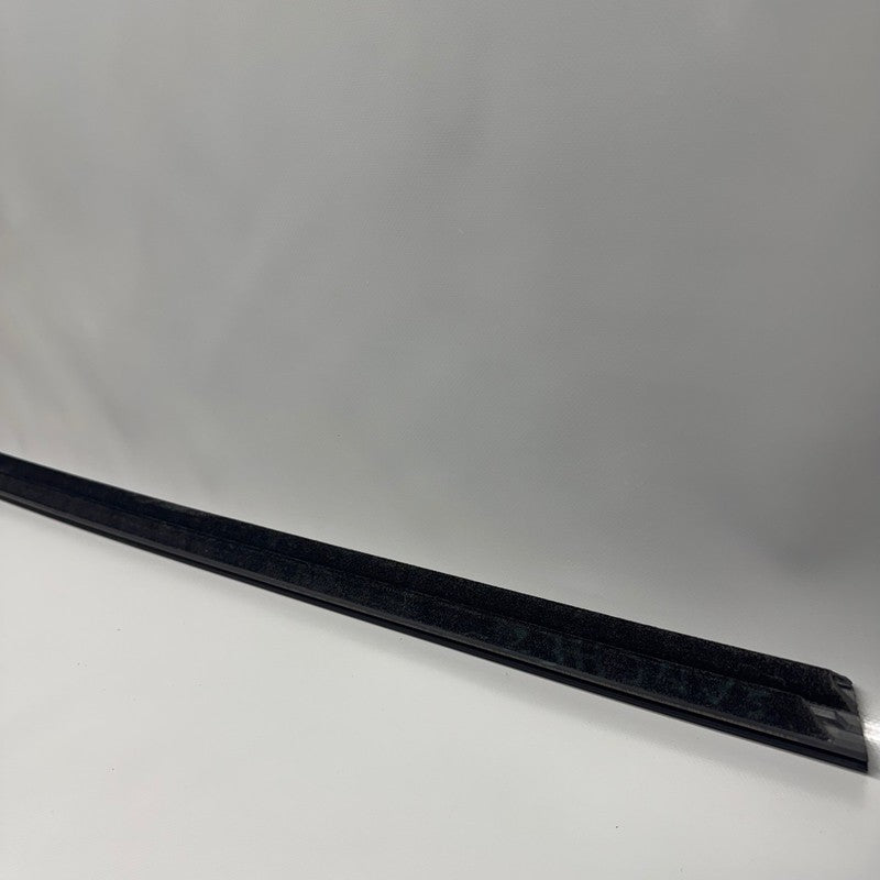 TESLA MODEL 3 DOOR WINDOW MOLDING LEFT FRONT 2017 18 19 20 21 2022 108