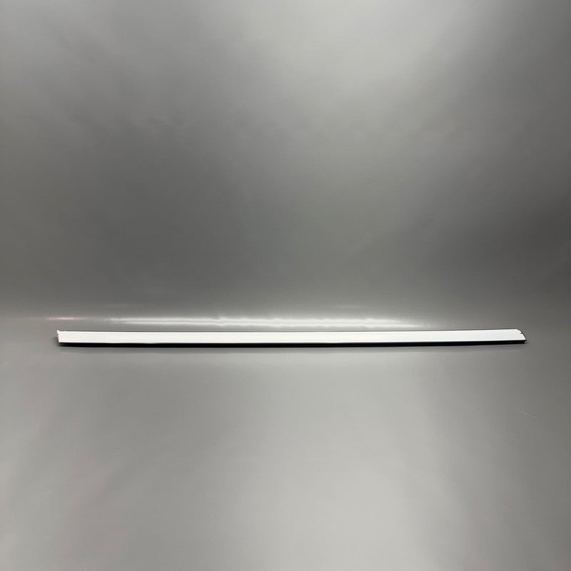 TESLA MODEL 3 DOOR WINDOW BELT MOLDING RIGHT FRONT 2017-2019 2020 2021