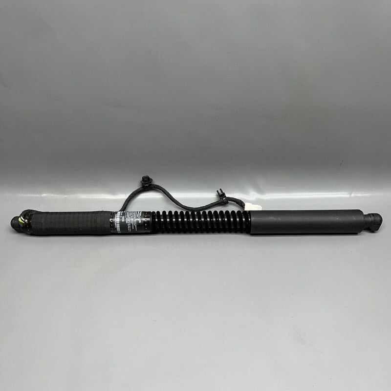 1063440-01-D TESLA MODEL X DOOR SHOCK STRUT REAR 2016 2017 2018 2019 2020 OEM 1063440-01-D
