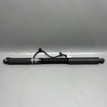 1063440-01-D TESLA MODEL X DOOR SHOCK STRUT REAR 2016 2017 2018 2019 2020 OEM 1063440-01-D