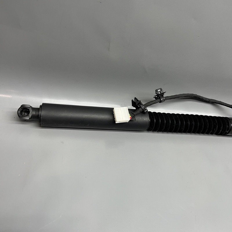 1063440-01-C TESLA MODEL X DOOR STRUT SHOCK 2016 2017 2018 2019 2020 OEM 1063440-01-C
