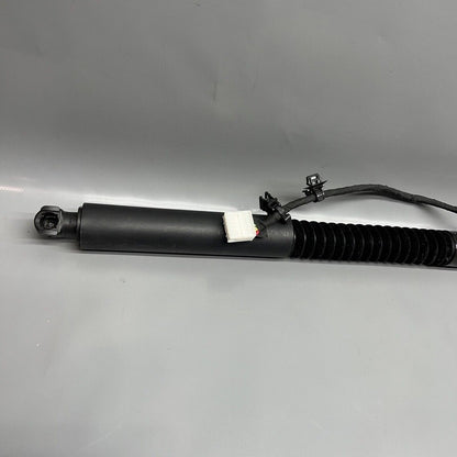 1063440-01-C TESLA MODEL X DOOR STRUT SHOCK 2016 2017 2018 2019 2020 OEM 1063440-01-C