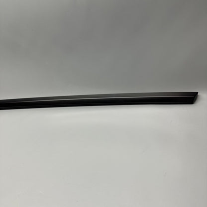 TESLA MODEL Y DOOR WINDOW BELT RIGHT REAR 2020 2021 2022 2023 OEM 