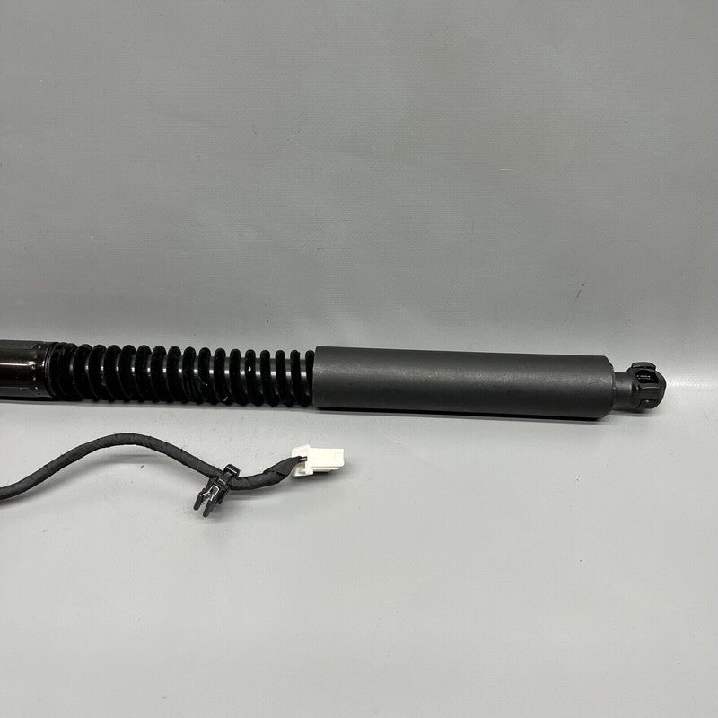 1063440-01-D TESLA MODEL X DOOR SHOCK STRUT REAR 2016 2017 2018 2019 2020 OEM 1063440-01-D