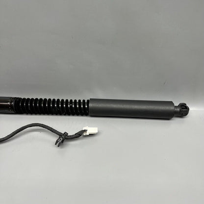 1063440-01-D TESLA MODEL X DOOR SHOCK STRUT REAR 2016 2017 2018 2019 2020 OEM 1063440-01-D