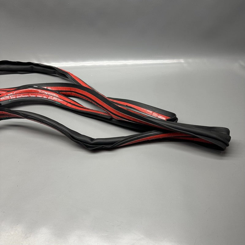 1032469-00-E TESLA MODEL X PRIMARY DOOR SEAL LEFT REAR 2016 17 18 19 2020 OEM 1032469-00-E