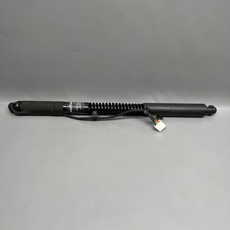 1063440-00-C TESLA MODEL X DOOR SHOCK STRUT REAR 2016 2017 2018 2019 20 2021 OEM 1063440-00-C
