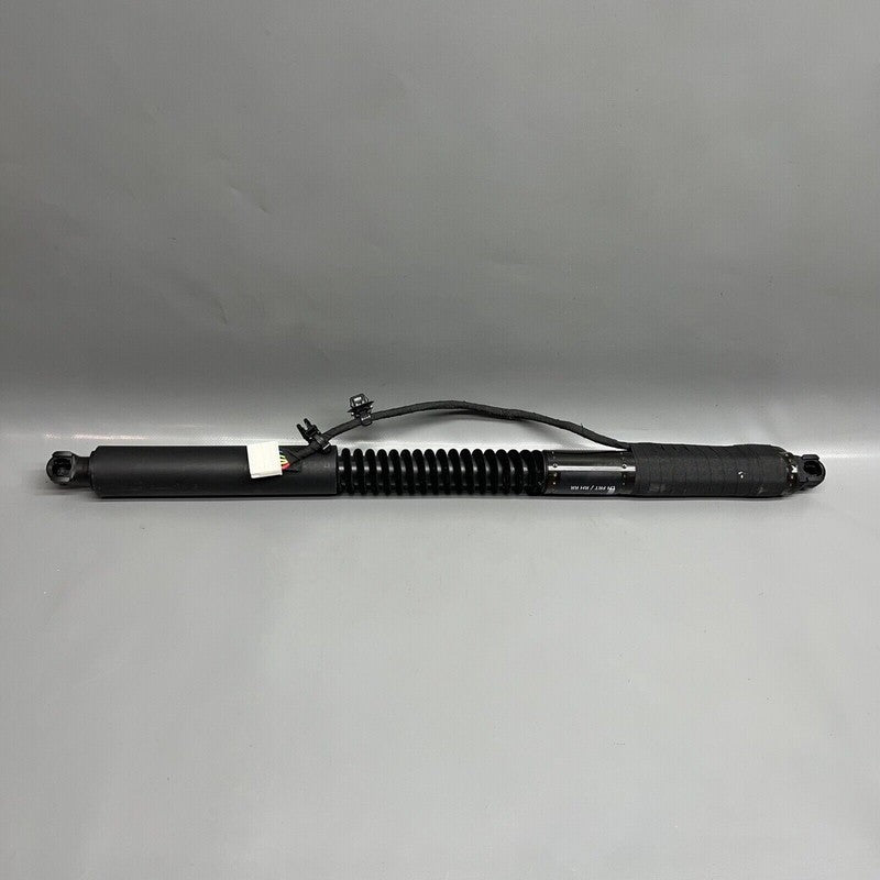 1063440-01-C TESLA MODEL X DOOR STRUT SHOCK 2016 2017 2018 2019 2020 OEM 1063440-01-C