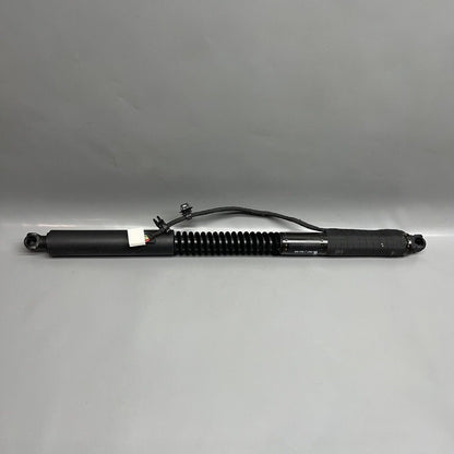 1063440-01-C TESLA MODEL X DOOR STRUT SHOCK 2016 2017 2018 2019 2020 OEM 1063440-01-C