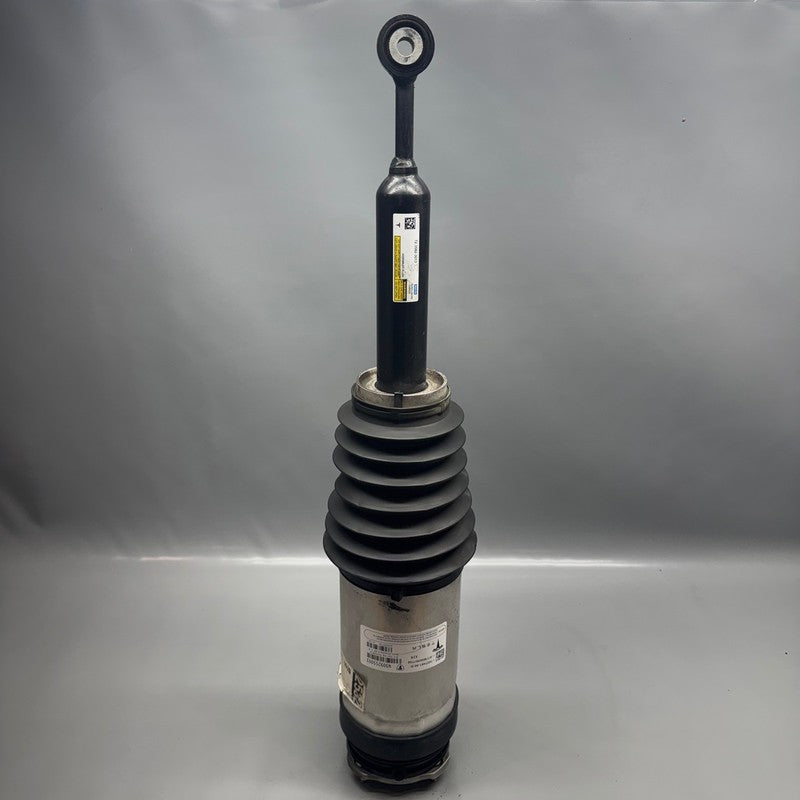 TESLA MODEL X AIR SHOCK STRUT REAR 2016 2017 2018 2019 2020 OEM 102746
